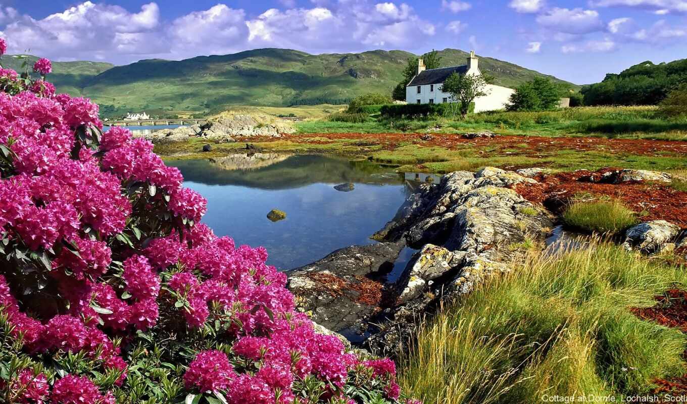 landscape, красивый, scotia