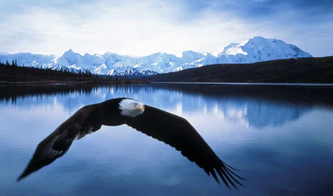 lake, there, orlan, flying, mountains, bald