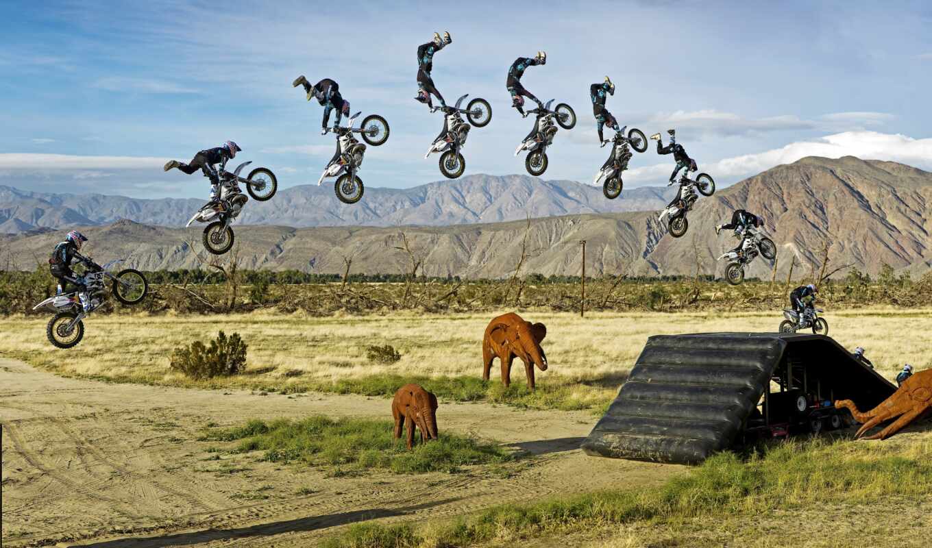 sport, elephants, motorcycle, motosport, rap, jump, bike, air