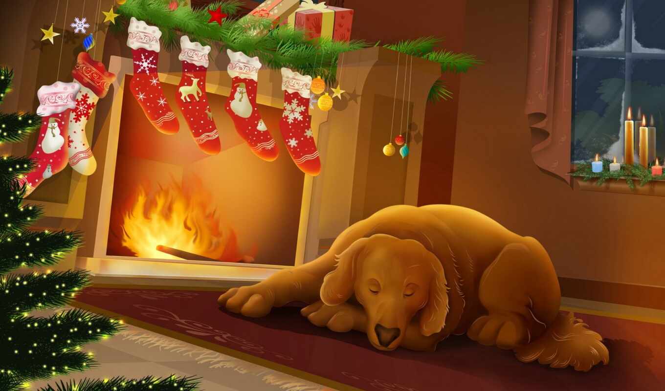 year, new, dog, christmas, home, sleep, wait, painted, fireplace, beloved, fire