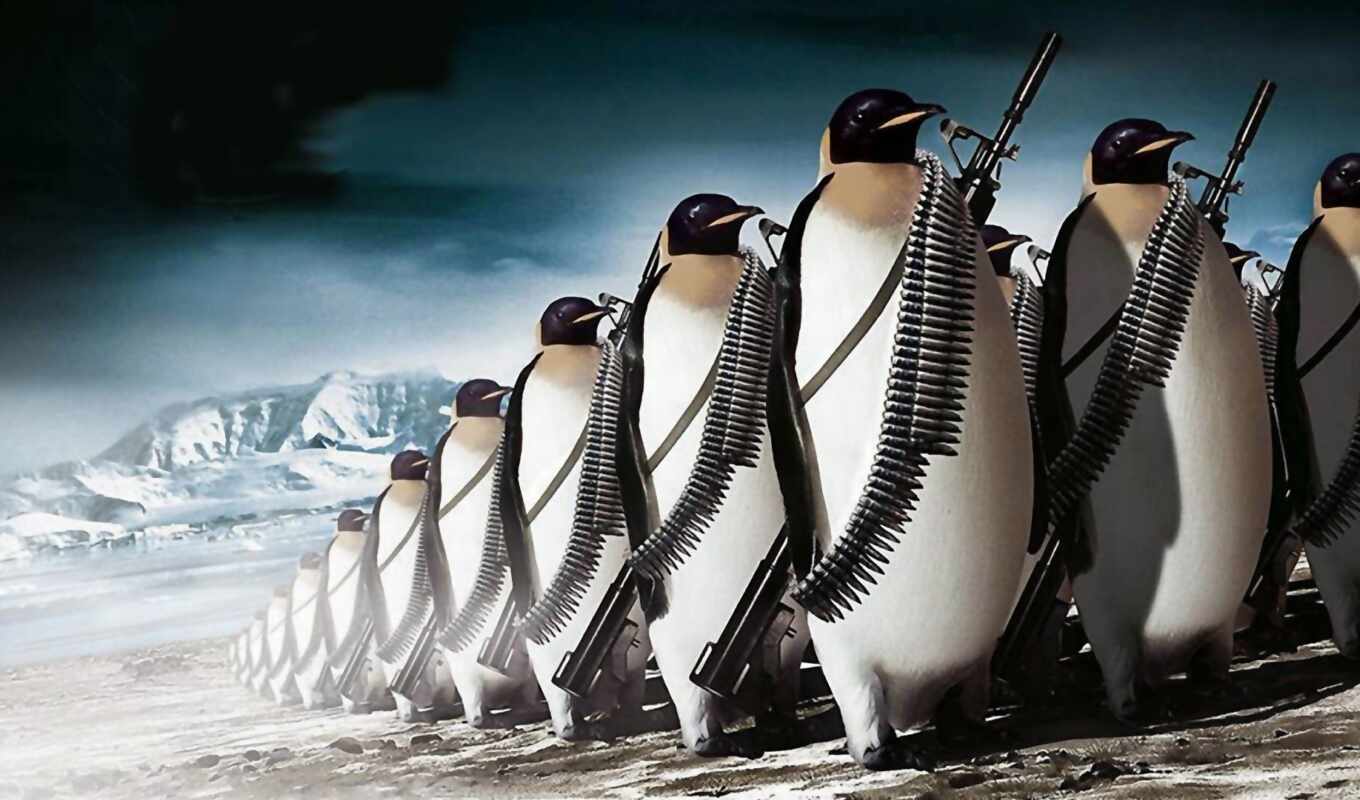ice, rifle, gun, weapon, animal, fantasy, army, ammunition, penguins
