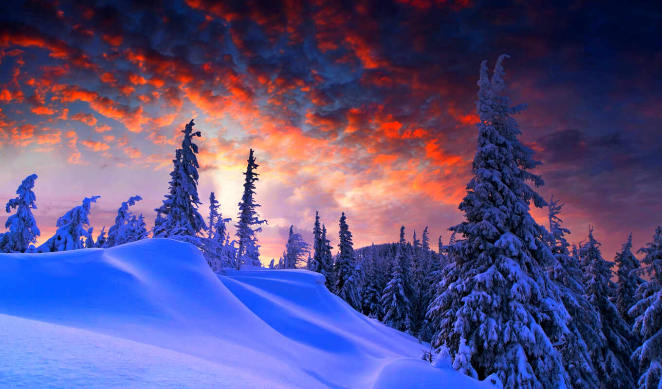 природа, небо, закат, снег, winter, лес, pinterest, trees, oblaka, горы, зимой