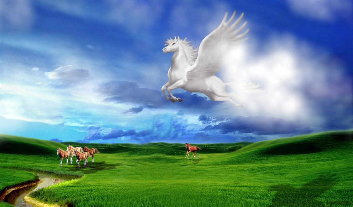 sky, white, horse, see, name