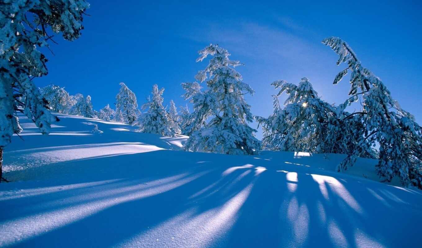 снег, лес, гора
