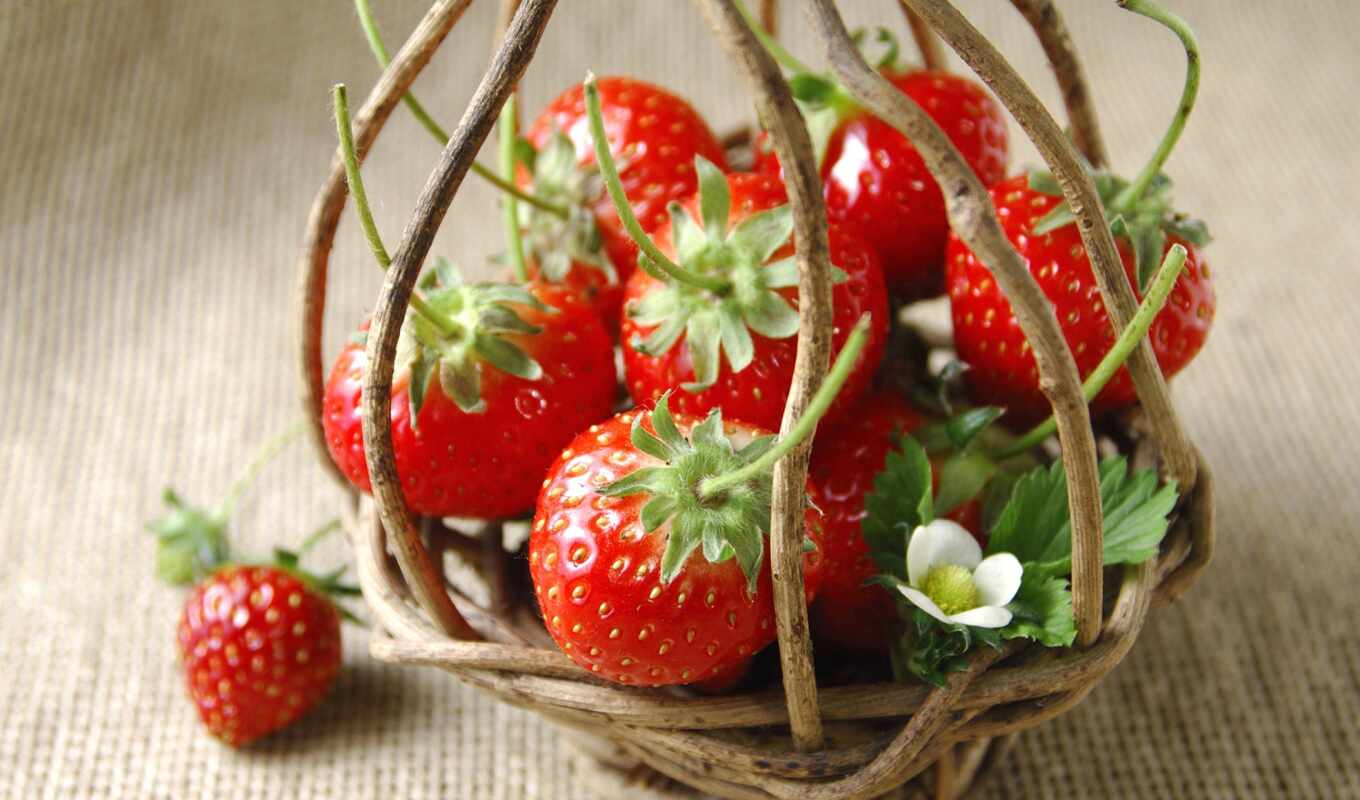 basket, strawberry, berry, funart