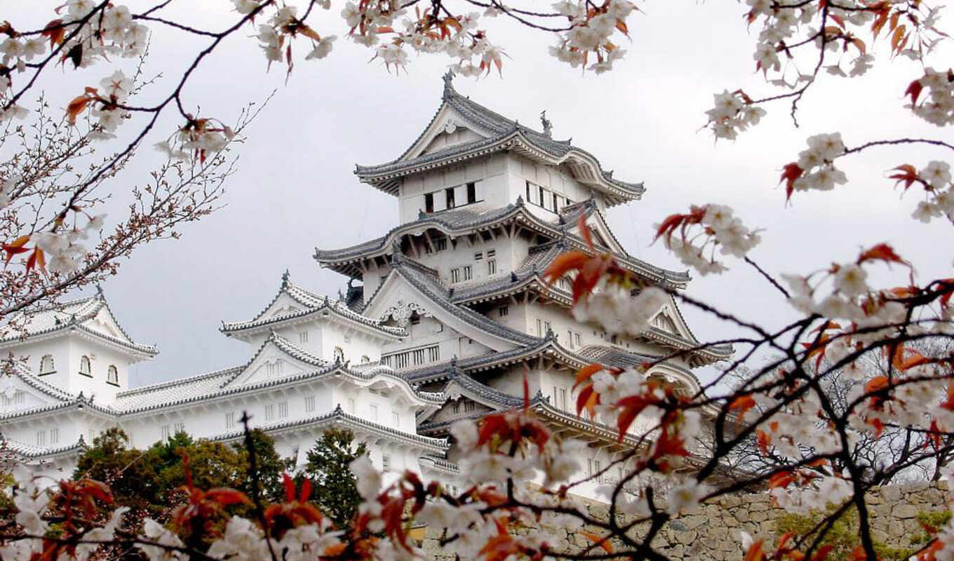 замок, белой, япония, цапли, химэдзи, Сакура, японии, был, мацумото, за, весна, восток, дворец, замка, азия, туристов, древнейших, один, среди, авиабилет, москва, 