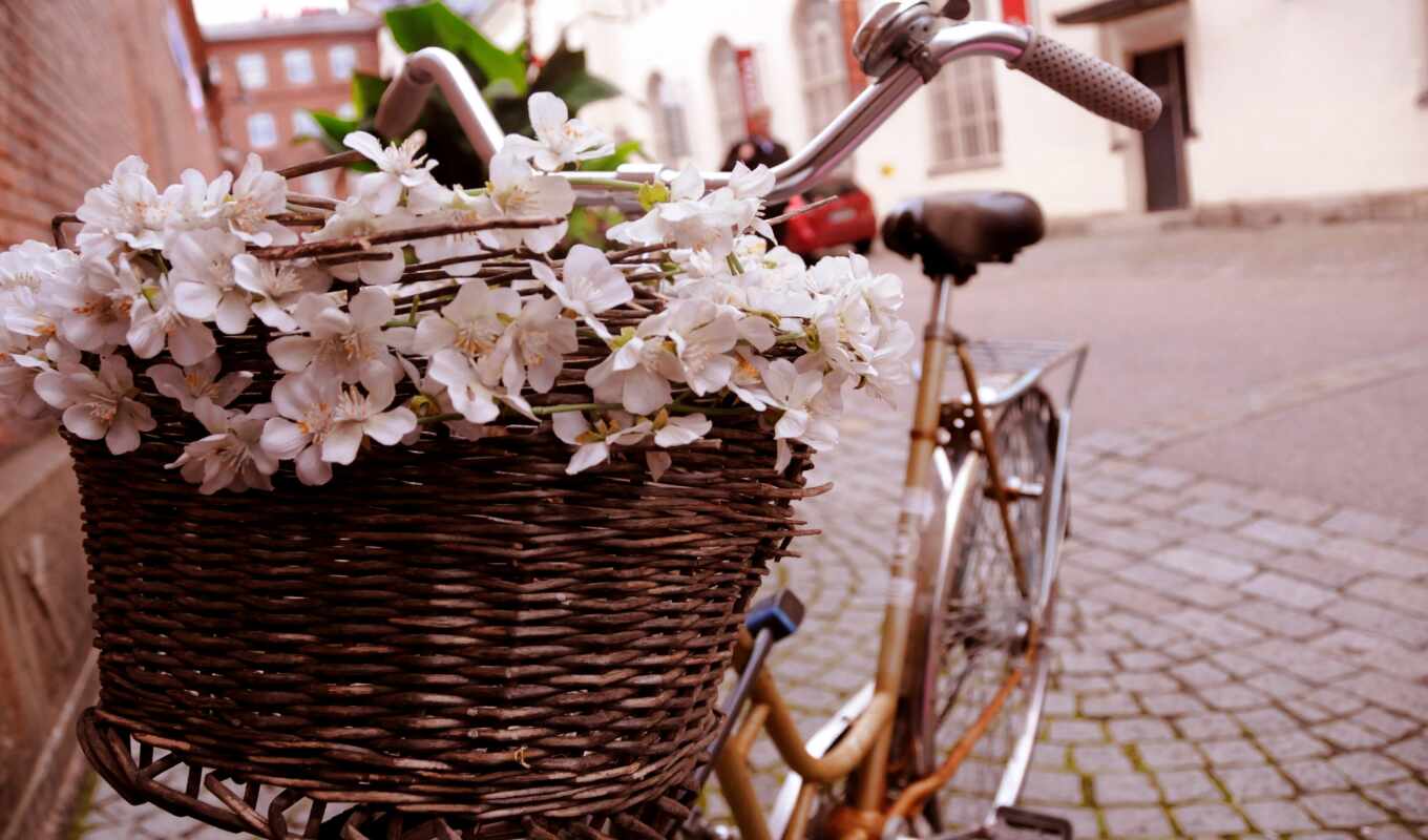 compilation, themes, pattern, bike, flowers, cvety, ish, bicycles, colors