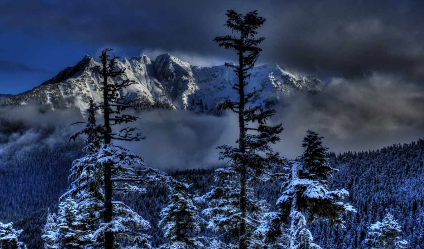 природа, изображение, winter, года, time, del, montañas, nieve, invierno, bosques