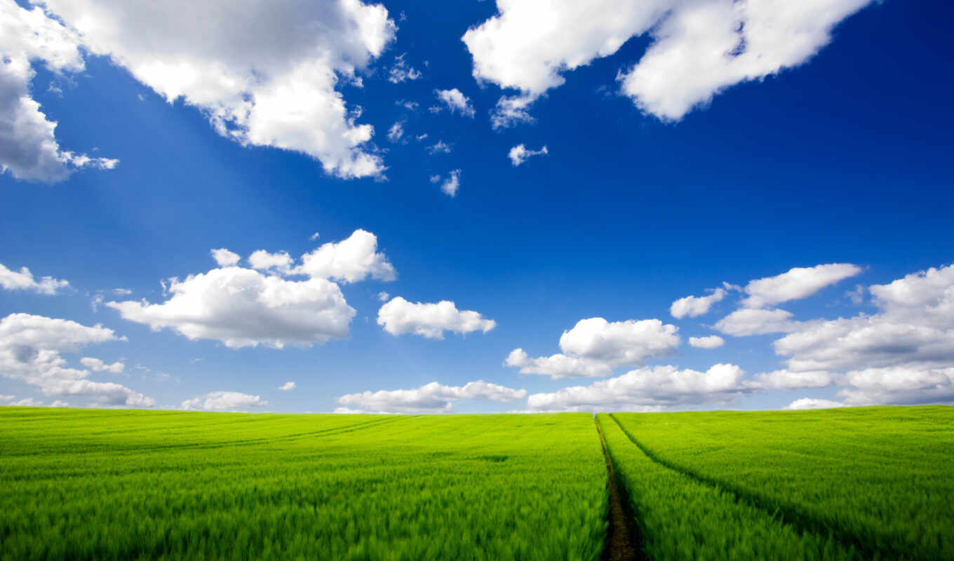 природа, небо, белые, зелёный, трава, дорога, поле, oblaka, margin