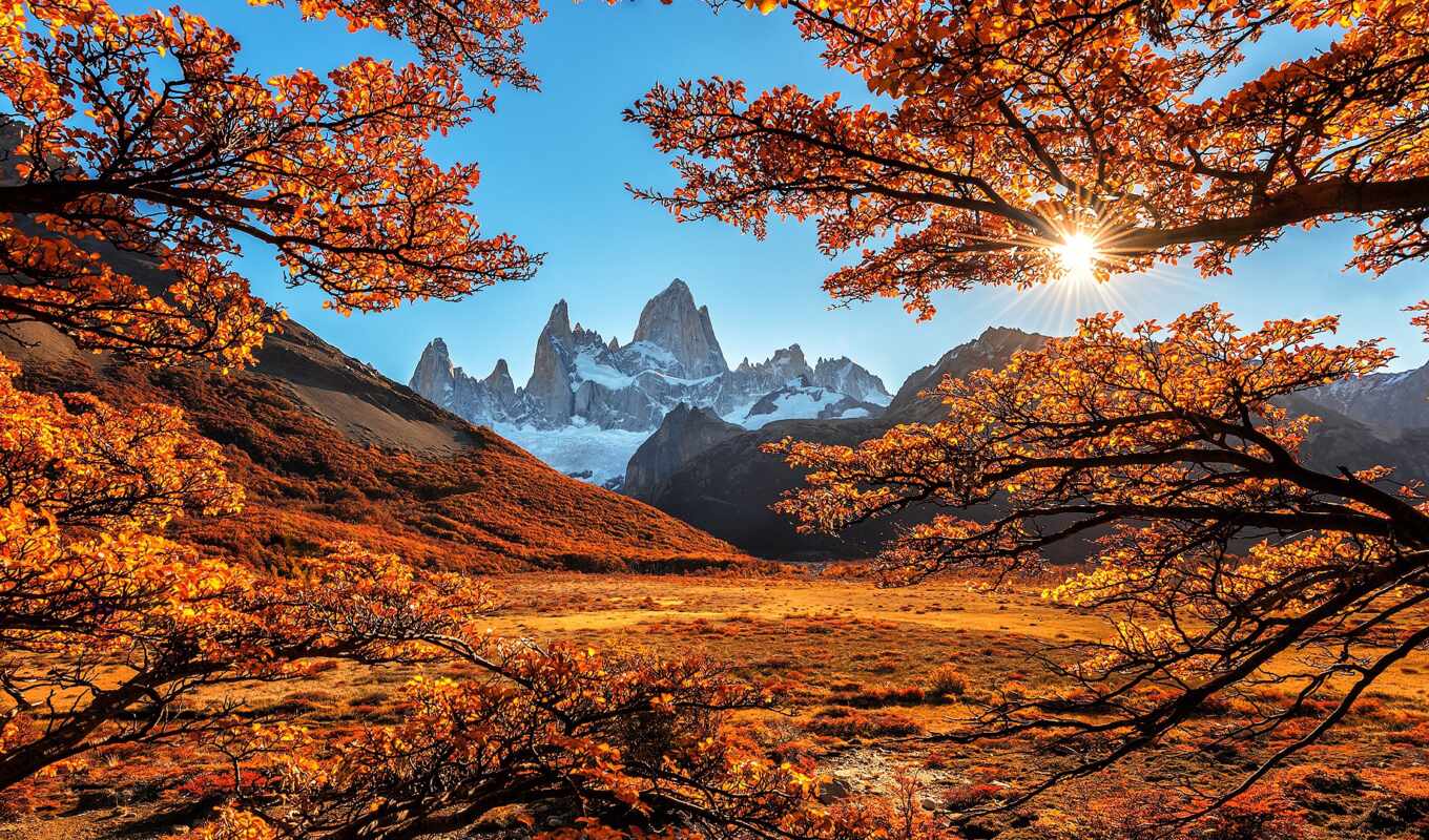 nature, view, tree, mountain, rock, autumn, roy, monte, initials, pazlyi, kachestvenai