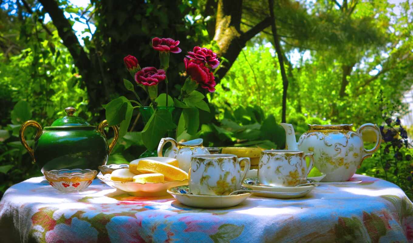 garden, morning, tea, dacha, drawing, the tea