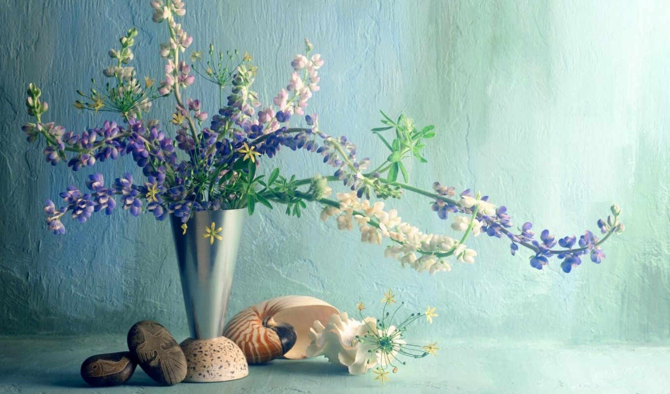 flowers, background, scenery, bouquet, vase, seashell, lupins, bonsai