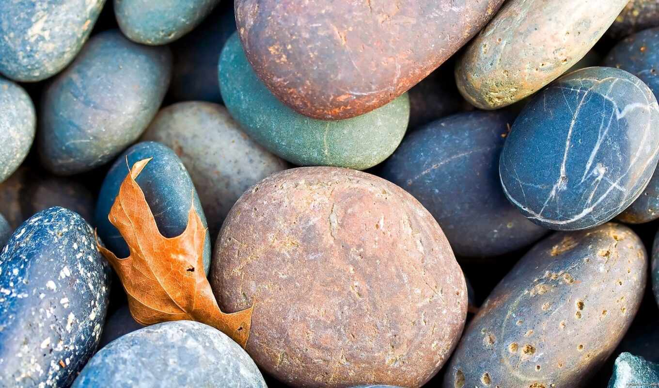picture, stone, pebbles, zoom, stones