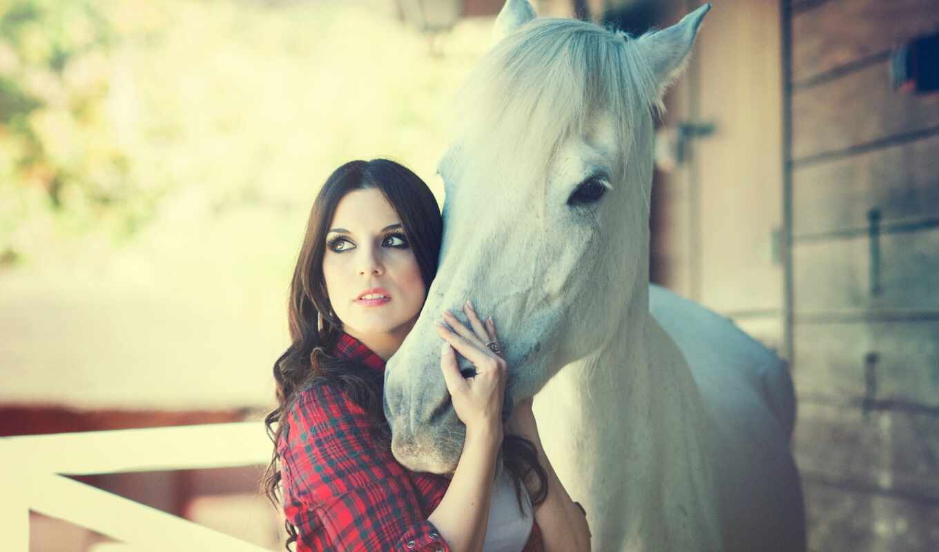 you, девушка, free, лошадь, настроения
