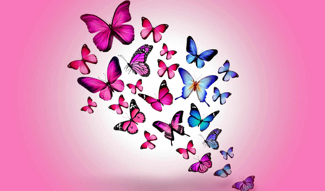 бабочки, розовый, butterflies, colorful, рисованные, рисованное, натяжные, розовые, синие, 