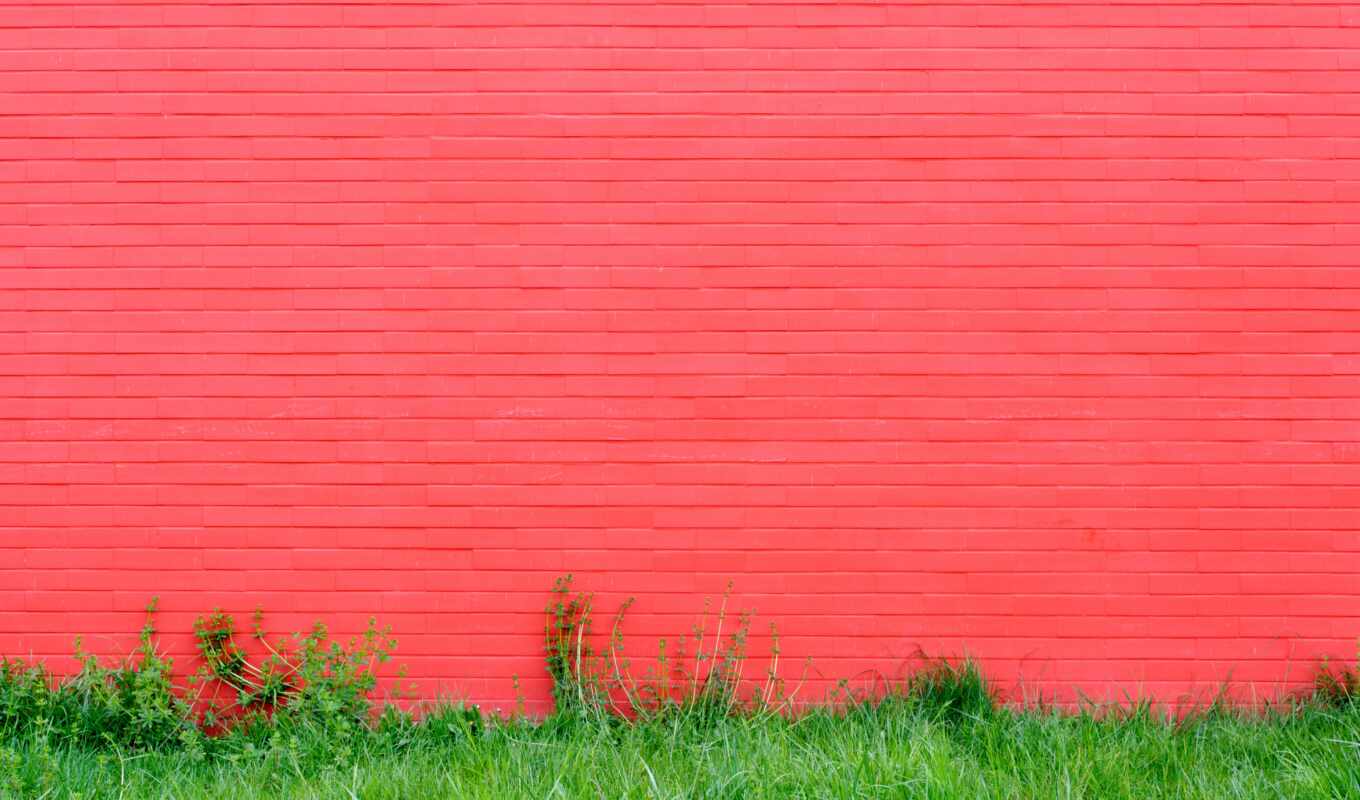 стена, текстура, трава, розовый, preview, brick