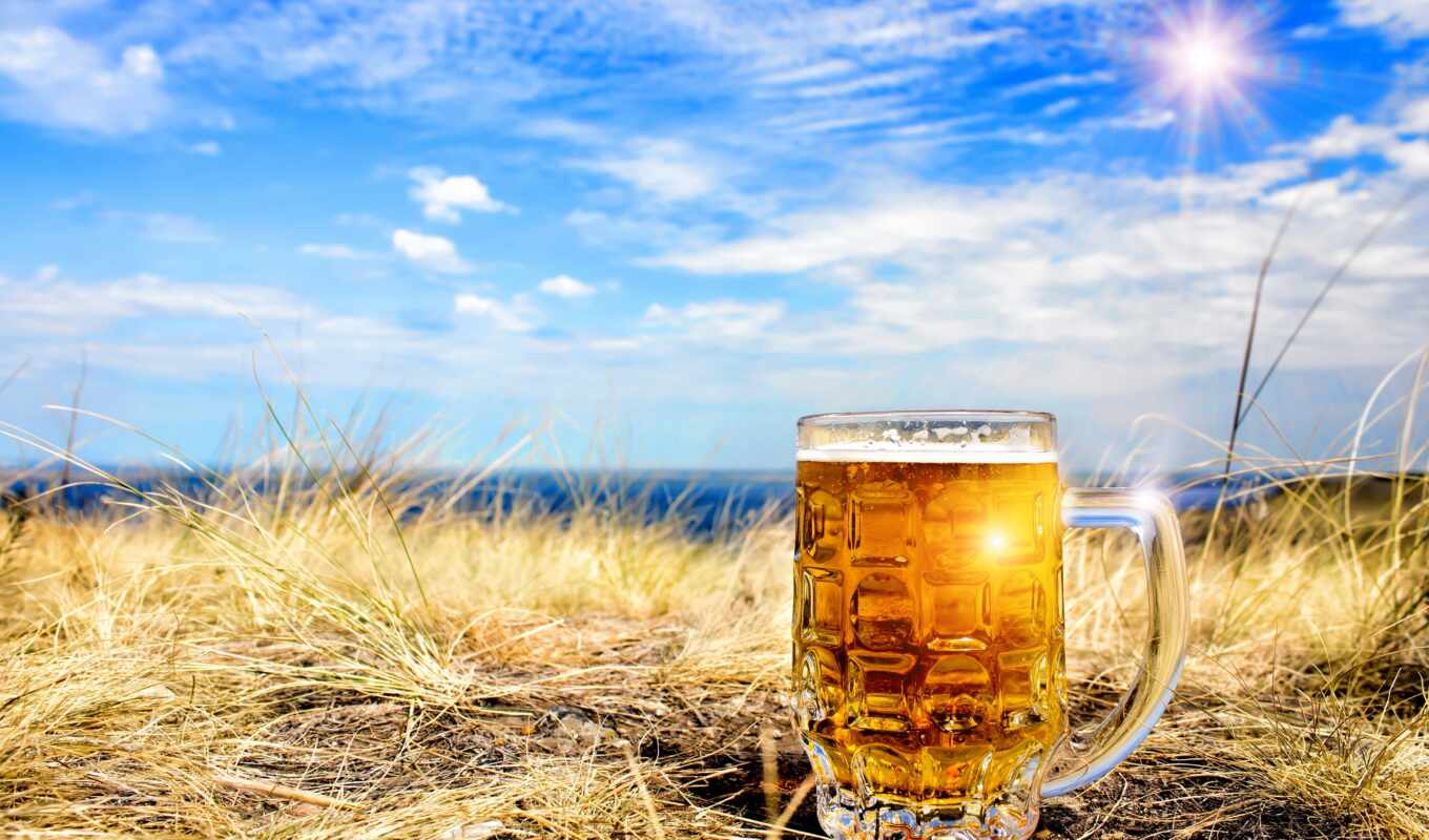 sky, glass, circle, grass, screen, sky, free, beer