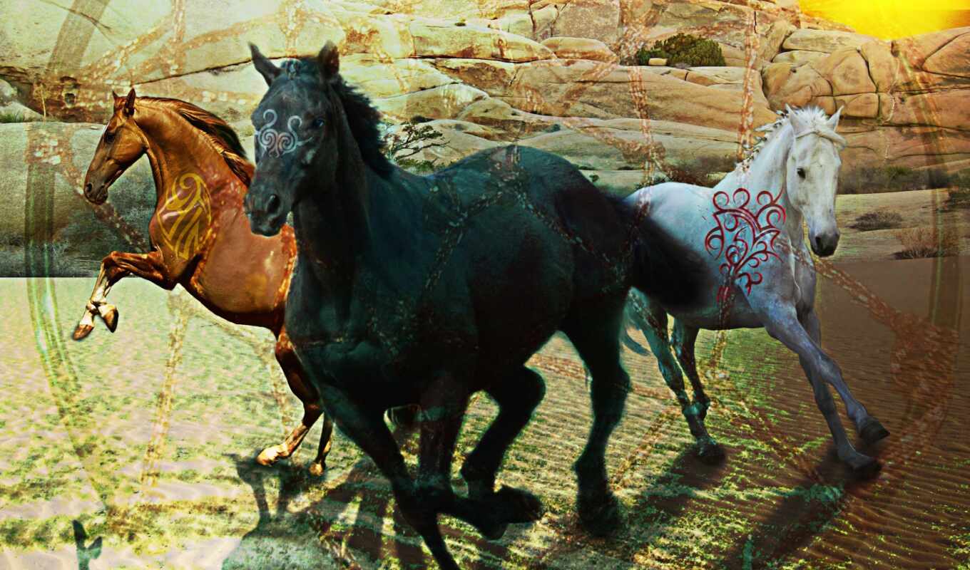 art, black, лошадь, лошади, загрузок, kin, тегу, чорний, коричневий