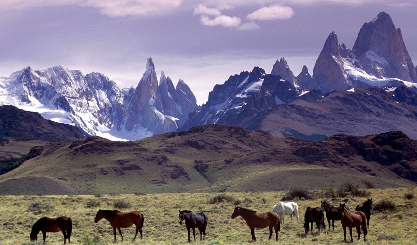 Argentina, Andy, nature, argentines, mountains