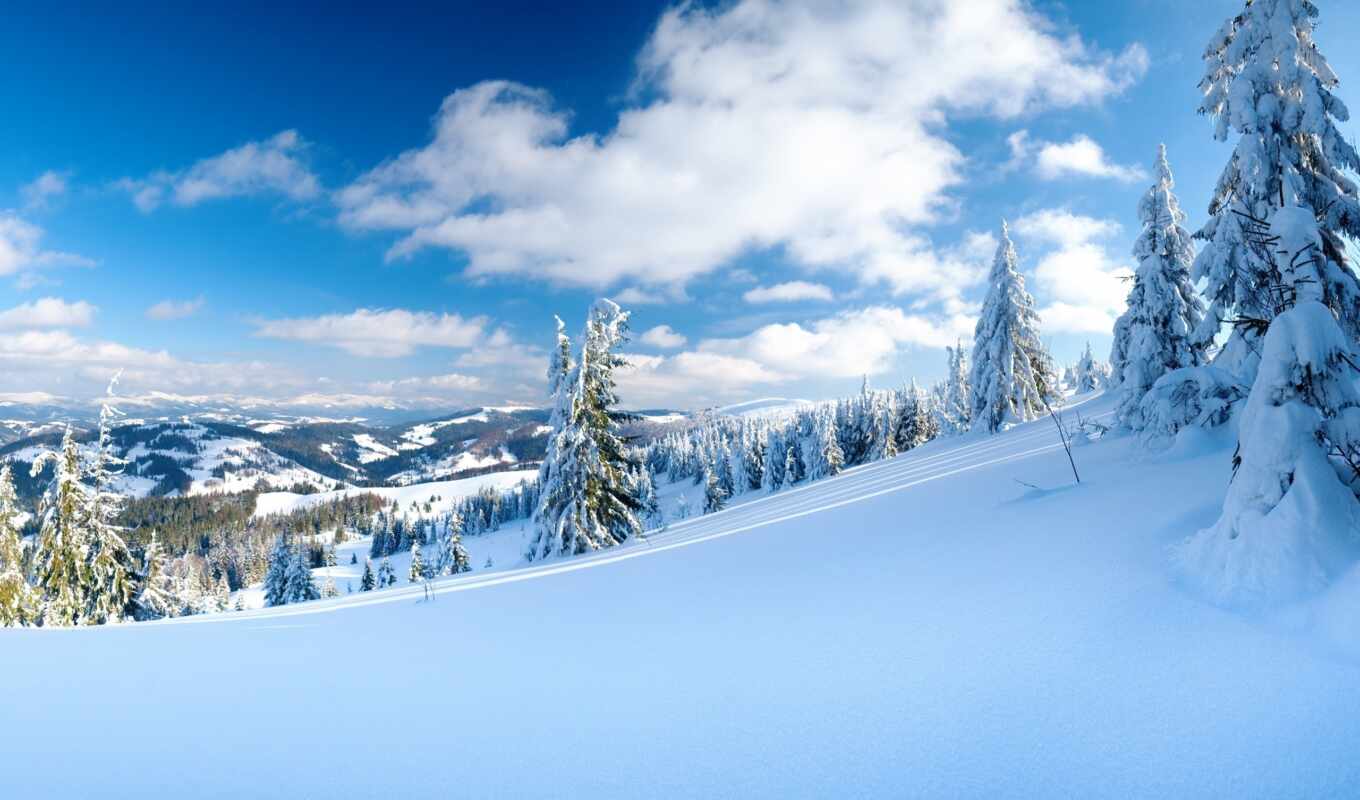 природа, пейзажи -, снег, winter, trees, зимние