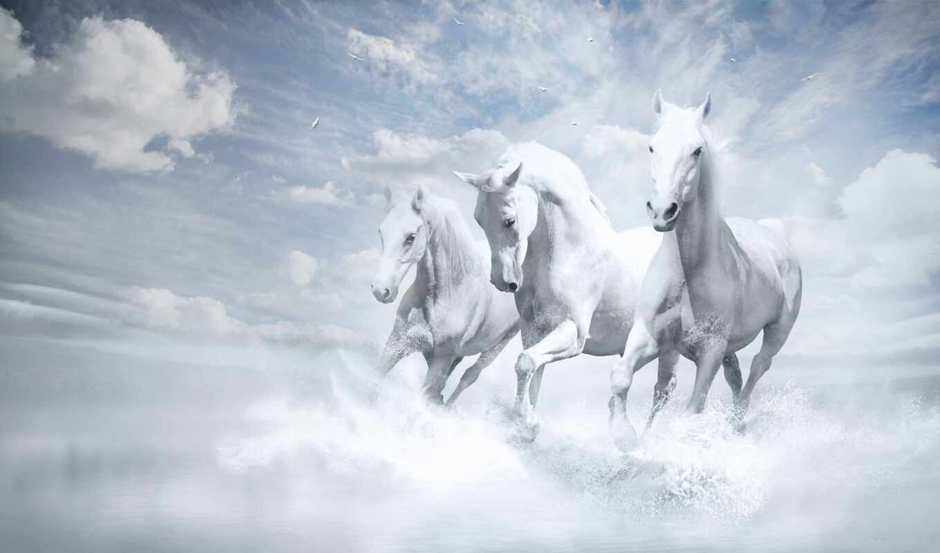 art, white, picture, water, three, horses, horses, river, trio, cloud, puzzles