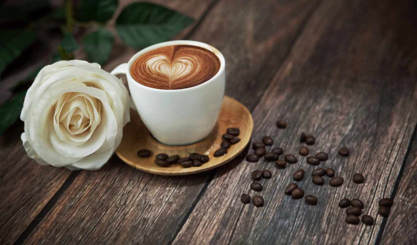 photo, good, flowers, rose, meal, coffee, morning, cup, meal
