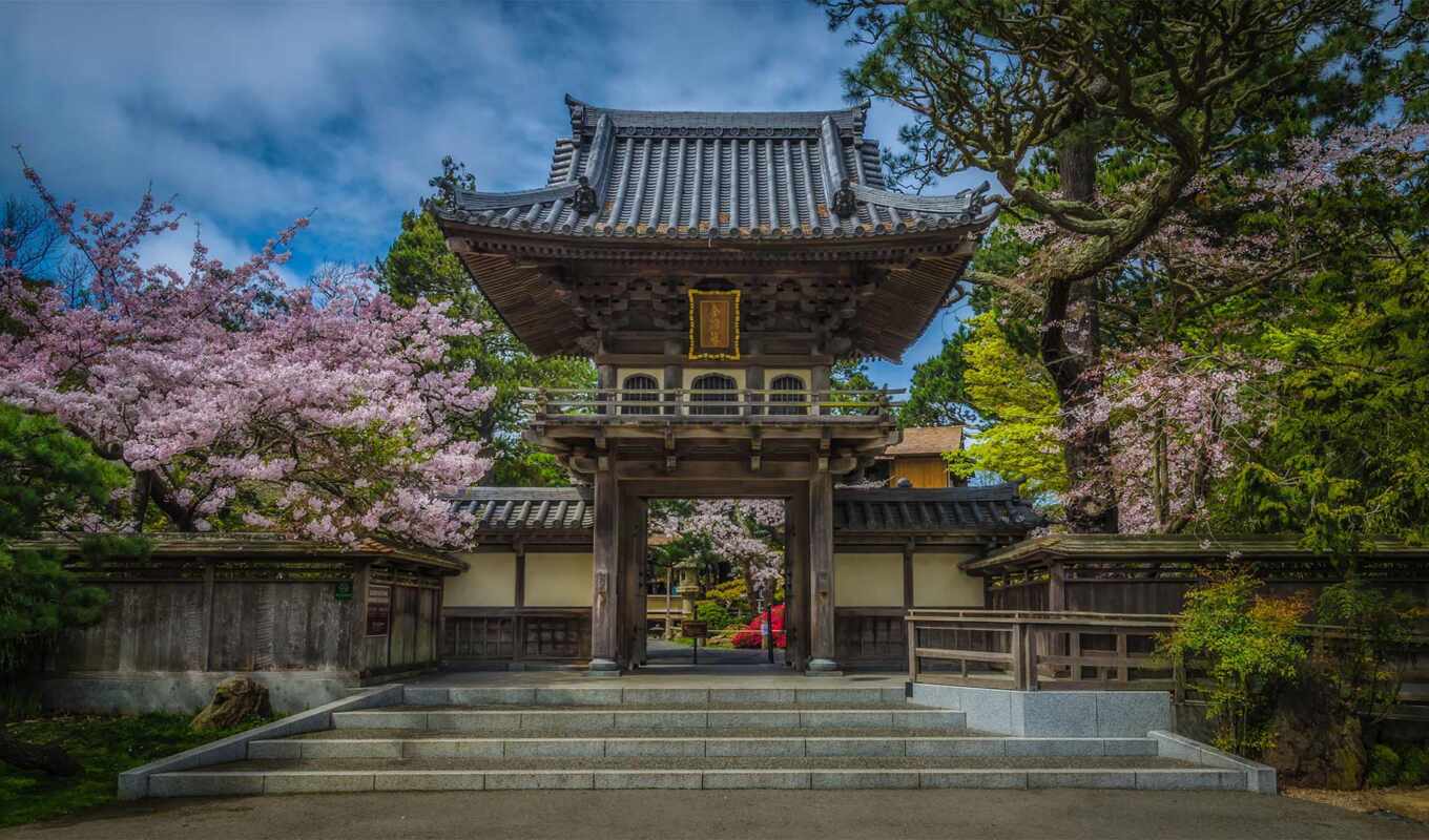 japanese, golden, garden, gate, tea