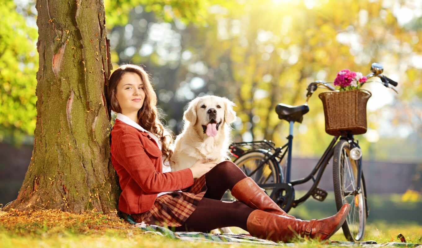 collection, PHOTOSESSION, dog, which, animal, bike