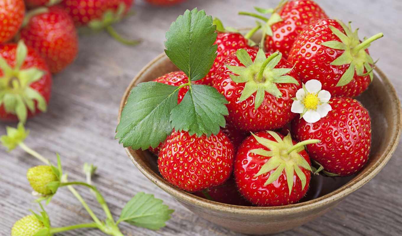 ripe, strawberry, berry, disease, meal, idrive, hull, drozhevoi, pazlyi, podkormka