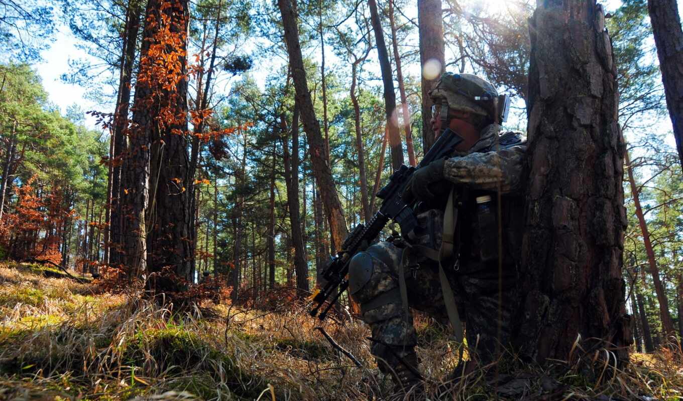 tree, forest, weapon, from behind, soldier, hide, fore