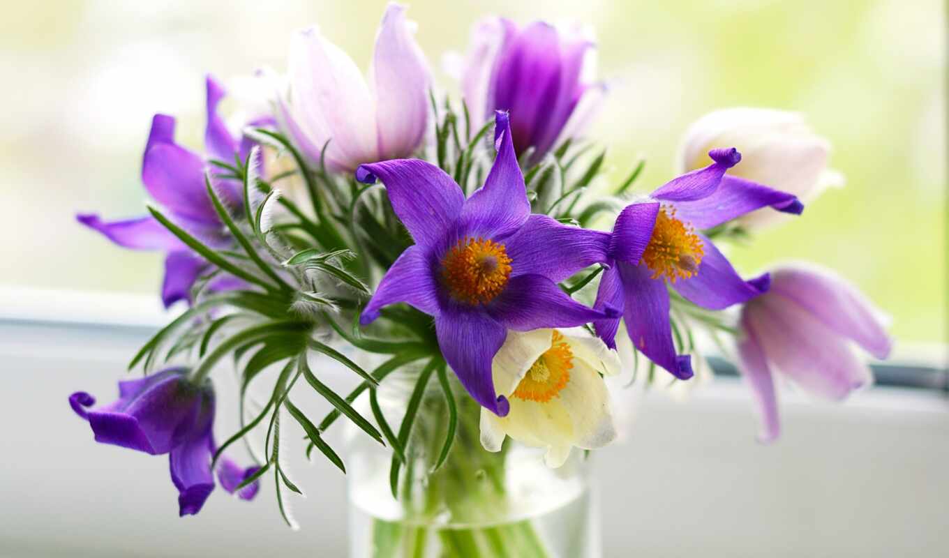flowers, pink, bouquet, vase, plants, cvety, purple, more detailed, lumbago, pulsatílla