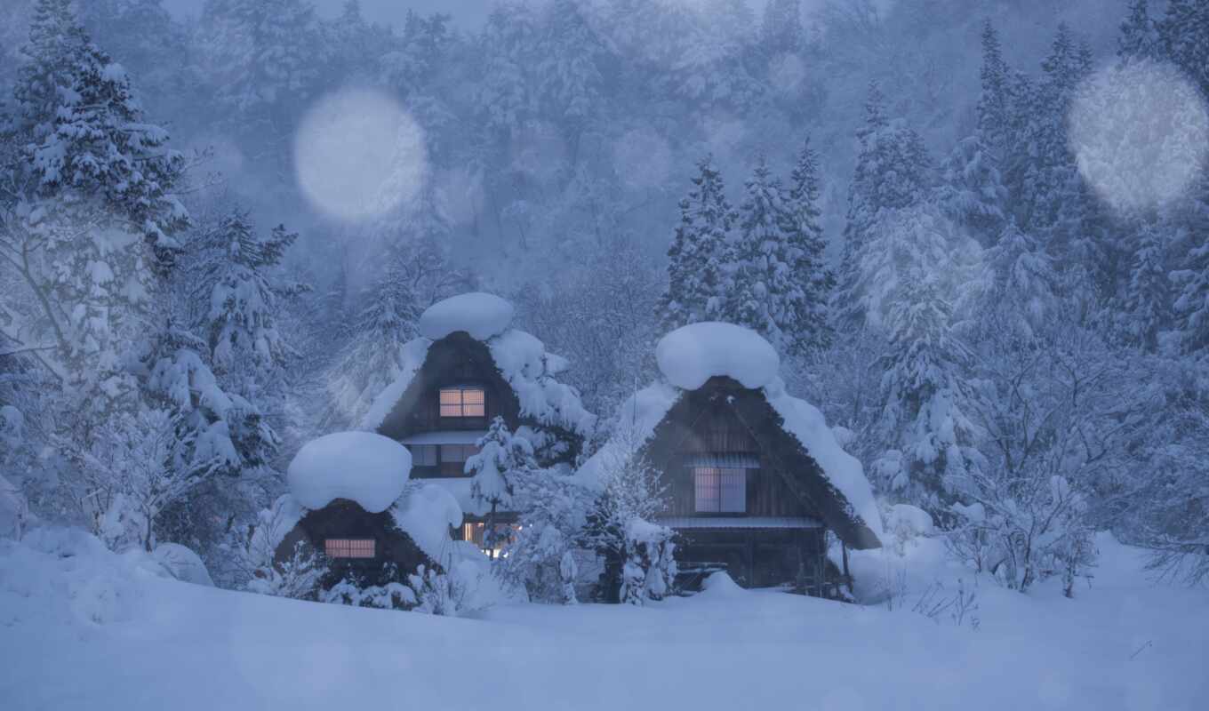 картинка, снег, winter, лес, красивый, trees, shirokoformatnyi