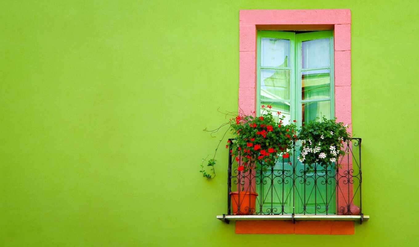стена, окно, зелёный, балкон, cvety, окна, разное