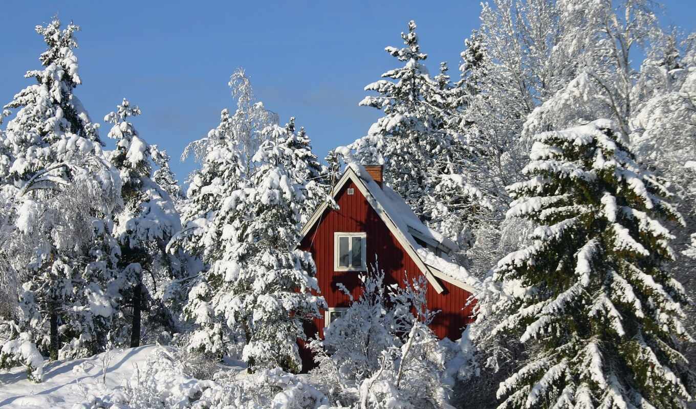 beautiful, forest, house, sweden, universal, sweden