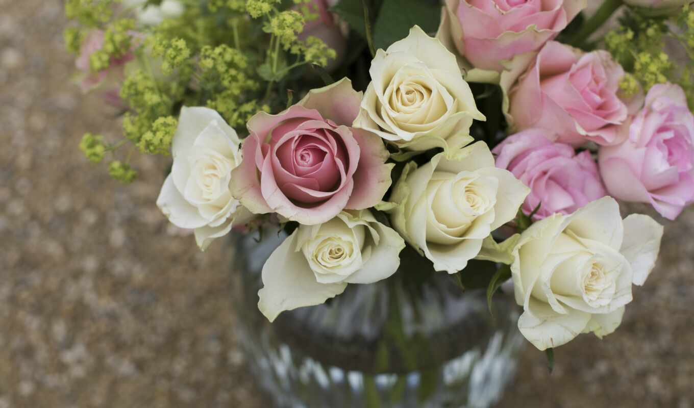 цветы, роза, white, розовый, букет, ваза, взлёт, некролог, "индианагазетт"