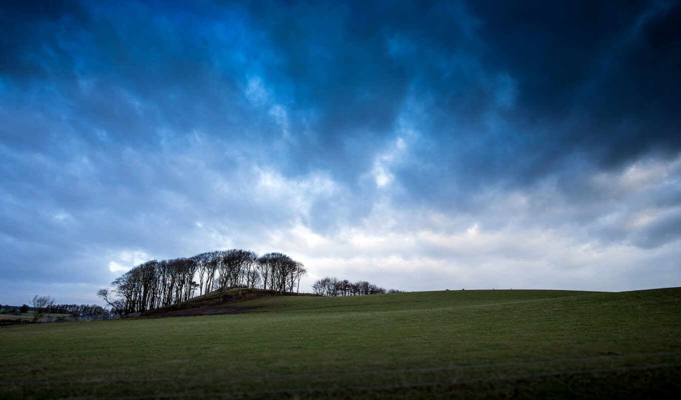 nature, grass, uk, pl, different, trees, clouds, scotia, high