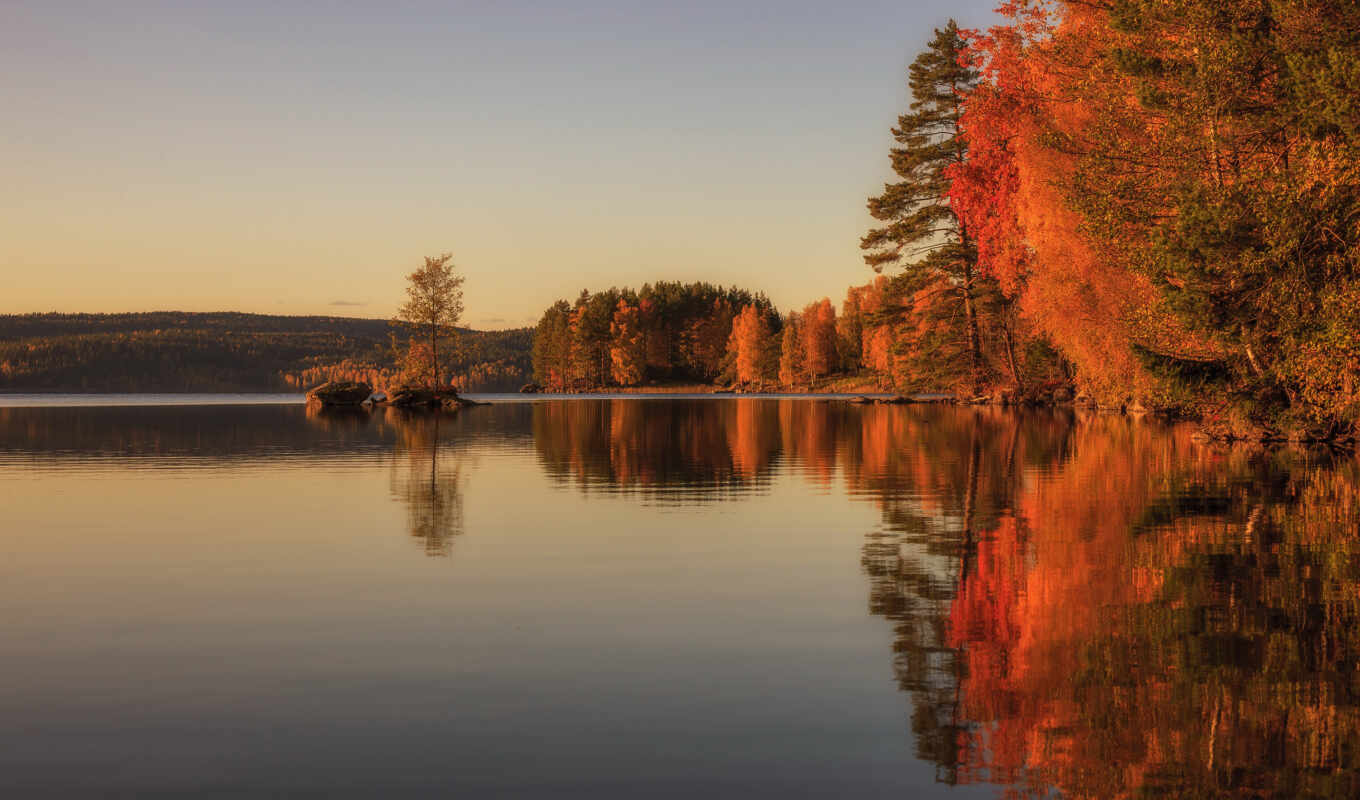 lake, light, tree, autumn, pond, reflection, fore