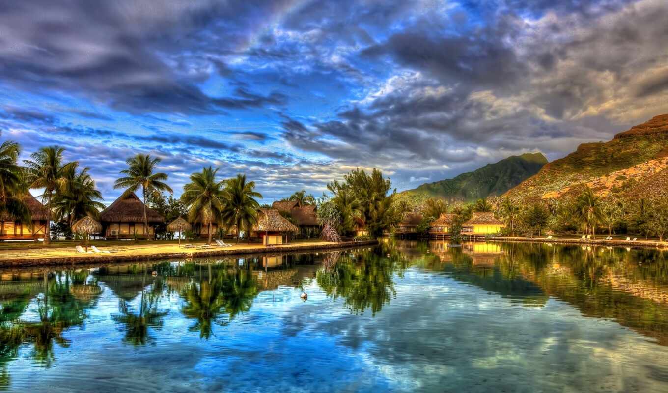 nature, palm trees, river, trees, reflection, islands, lakes, houses, the river
