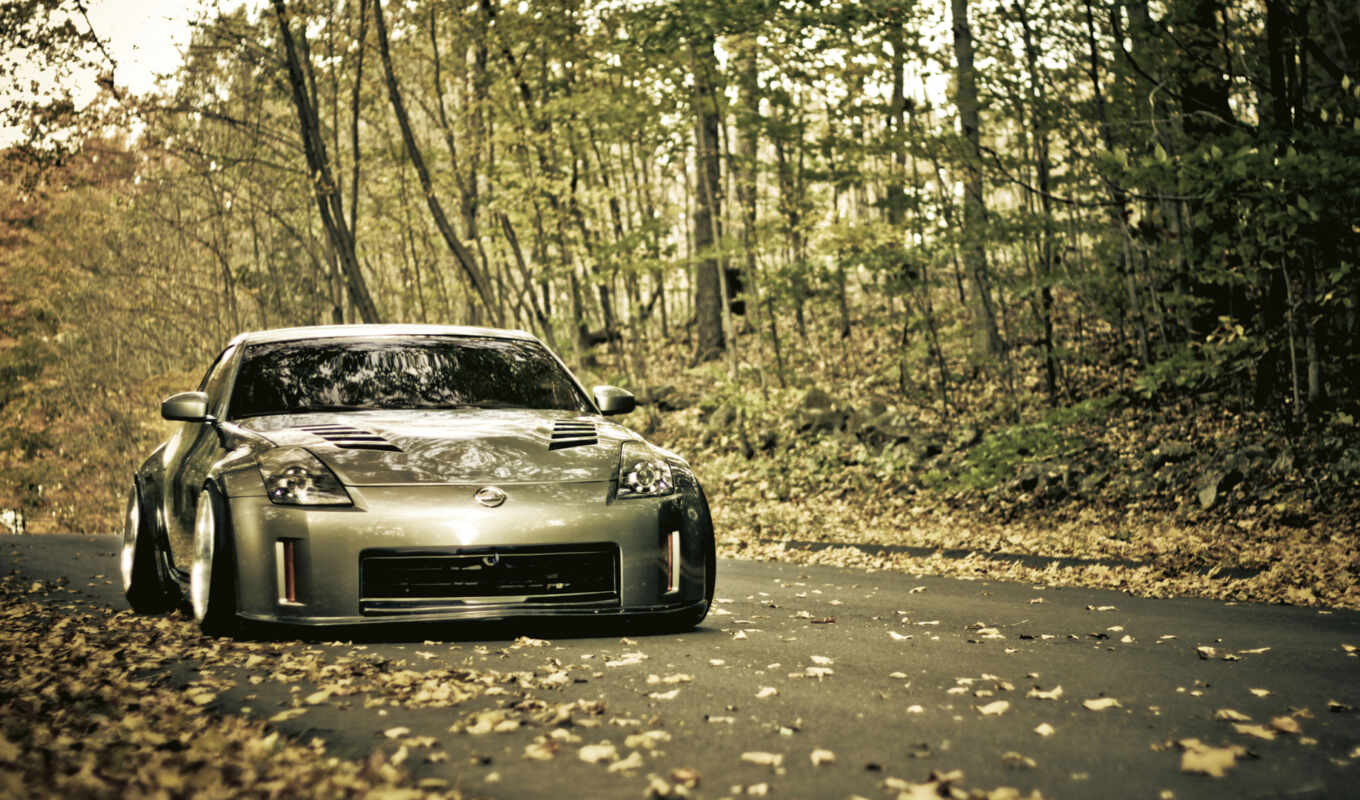 road, auto, autumn, яndex, card, nissan, collections, collections