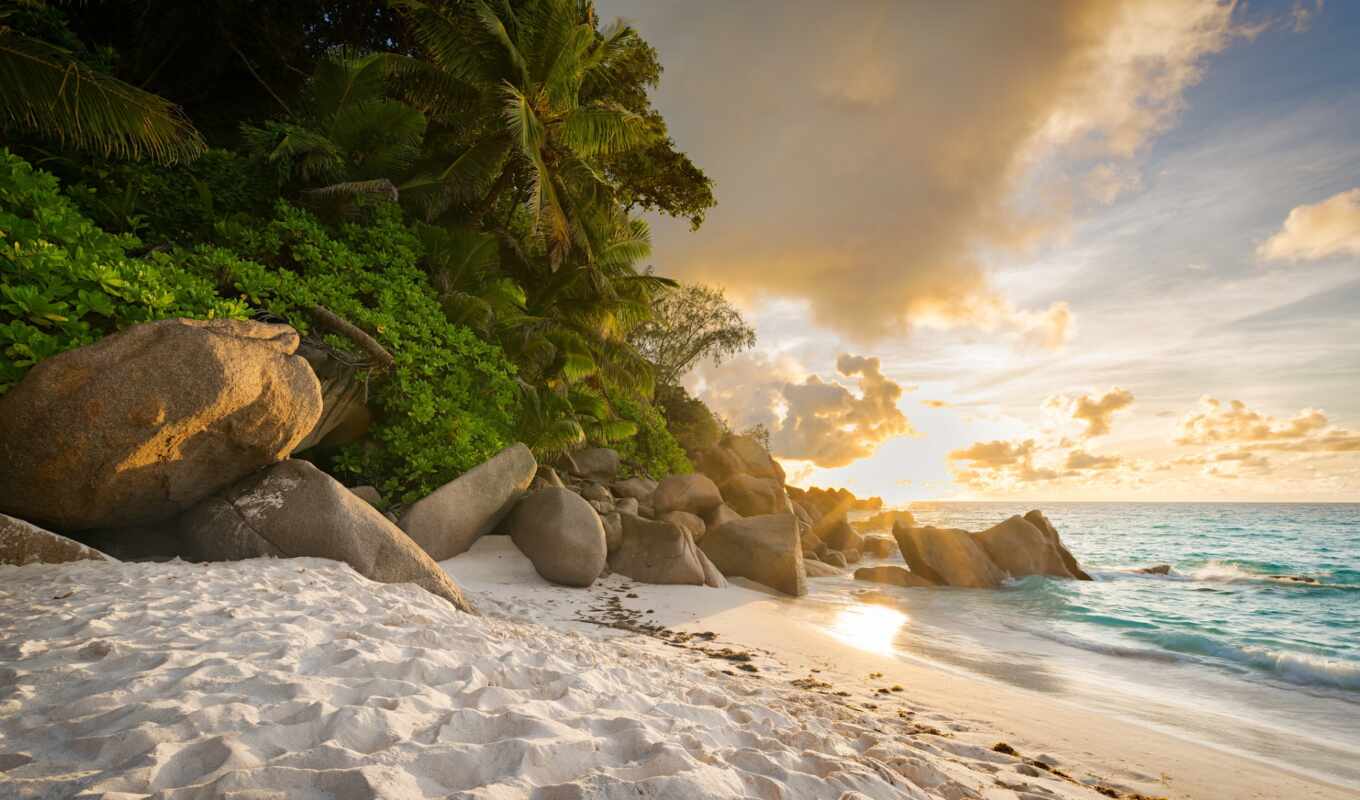 sunset, beach, sea, TV, island, ocean, system, coast, palm, reception, maldive