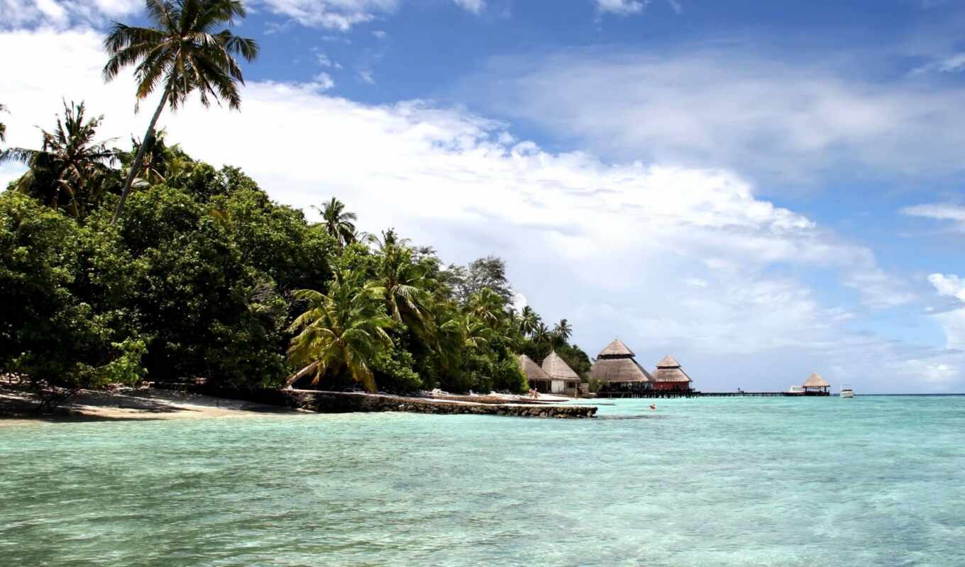 пляж, море, остров, ocean, maldives, tropical