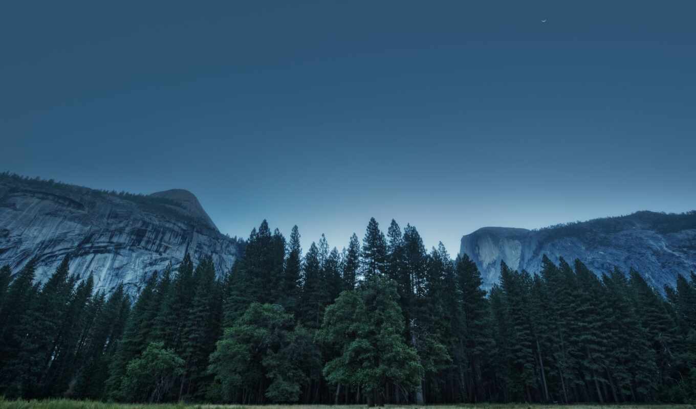 forest, california, usa, park, trees, mountains, national, valley, yosemite