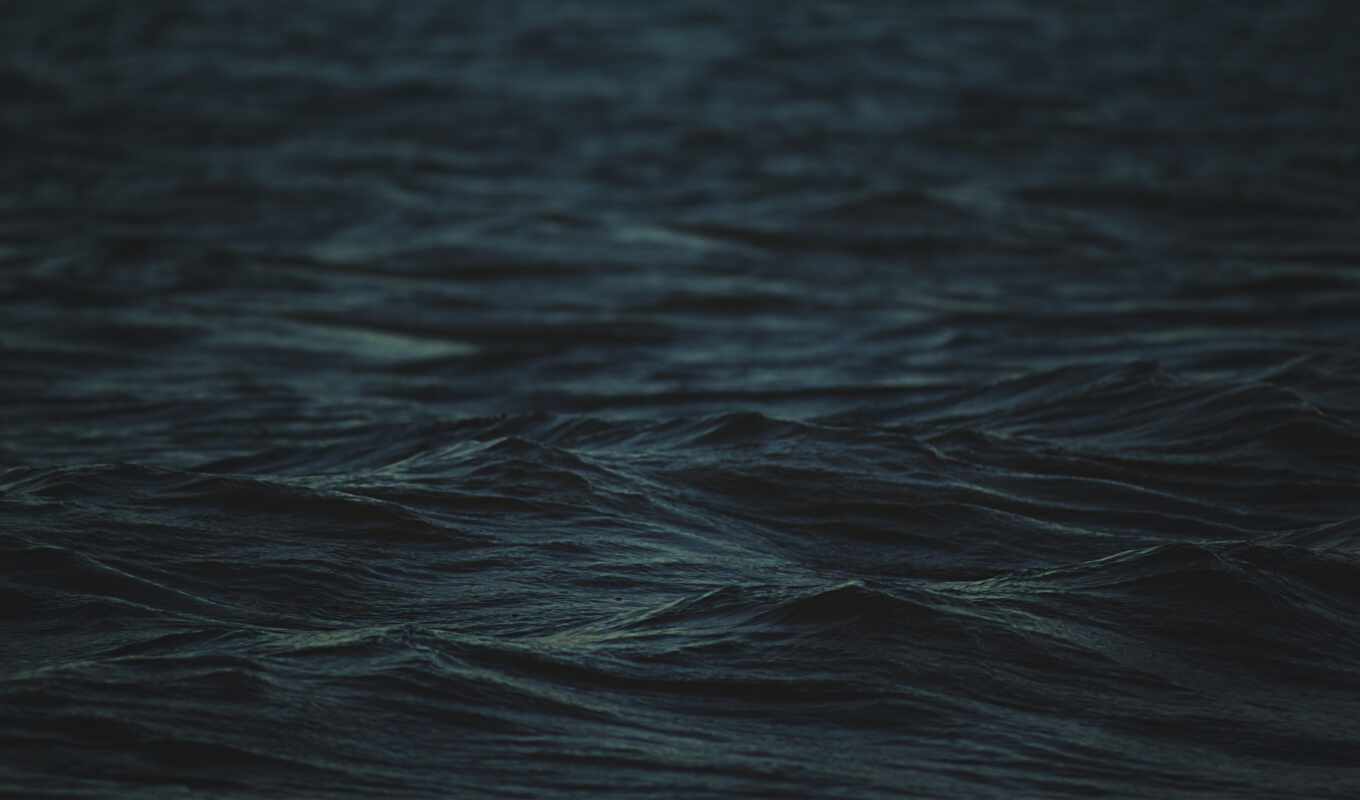 the waves, sea