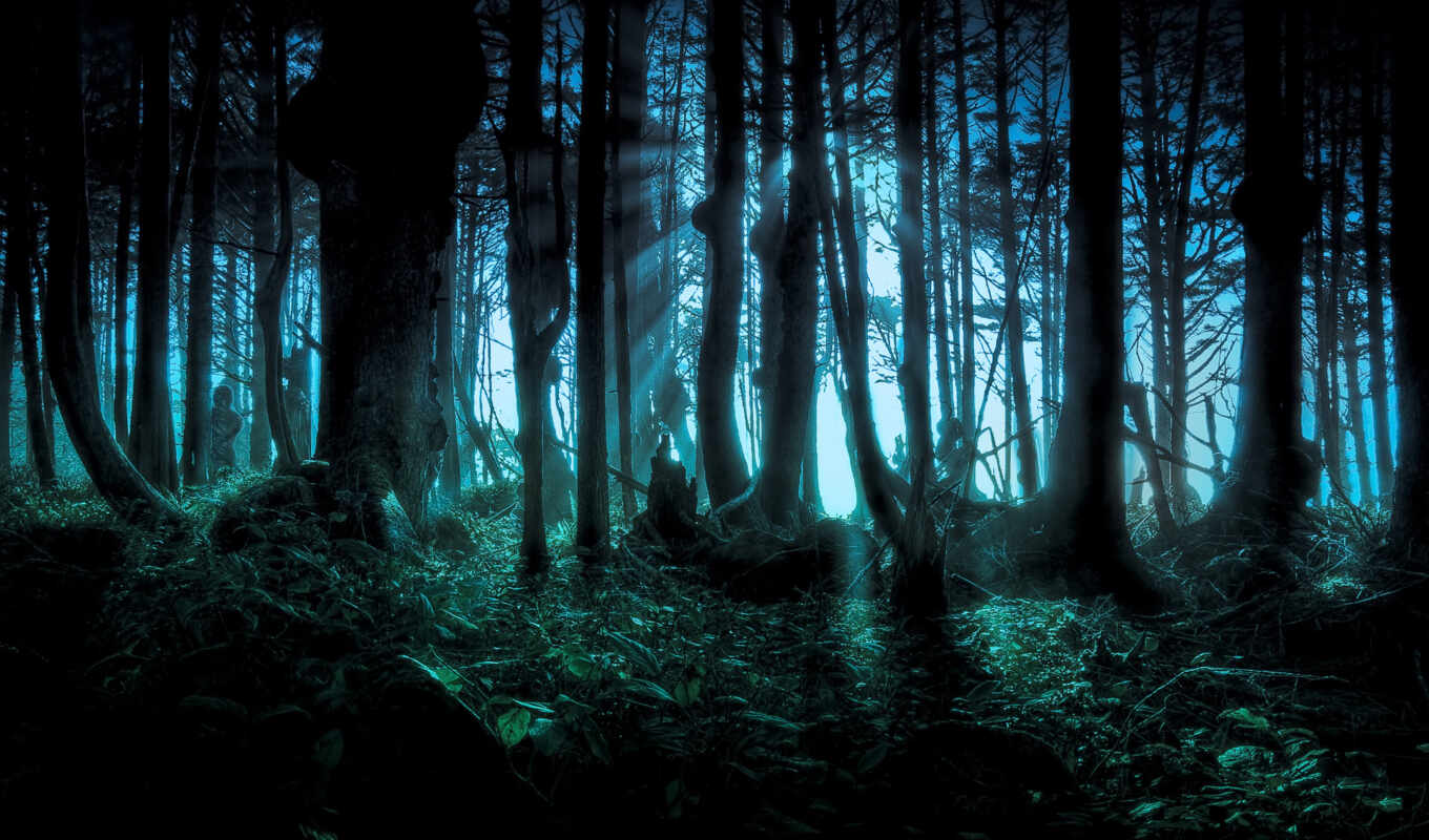 широкоформатные, лес, dark, trees, страшные, mysterious, darkness, ужасный