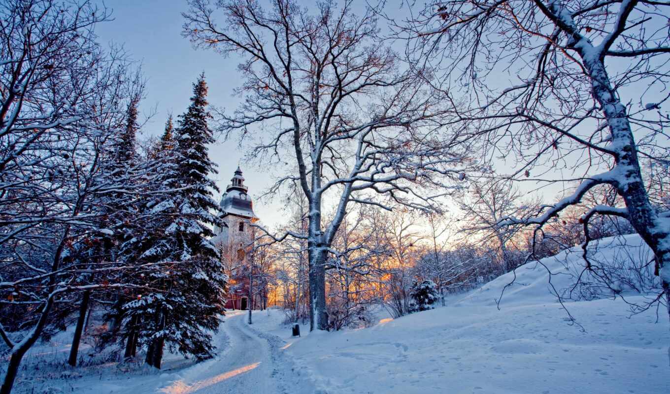nature, light, snow, beautiful, winter, trees, church