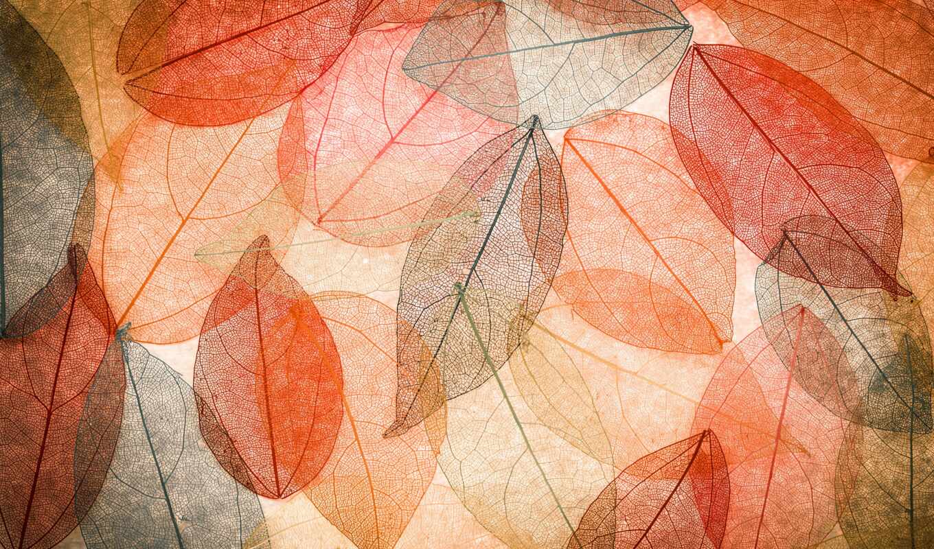 лист, красочные, графика, абстракция, abstract, лес, осень, leaf, прозрачный
