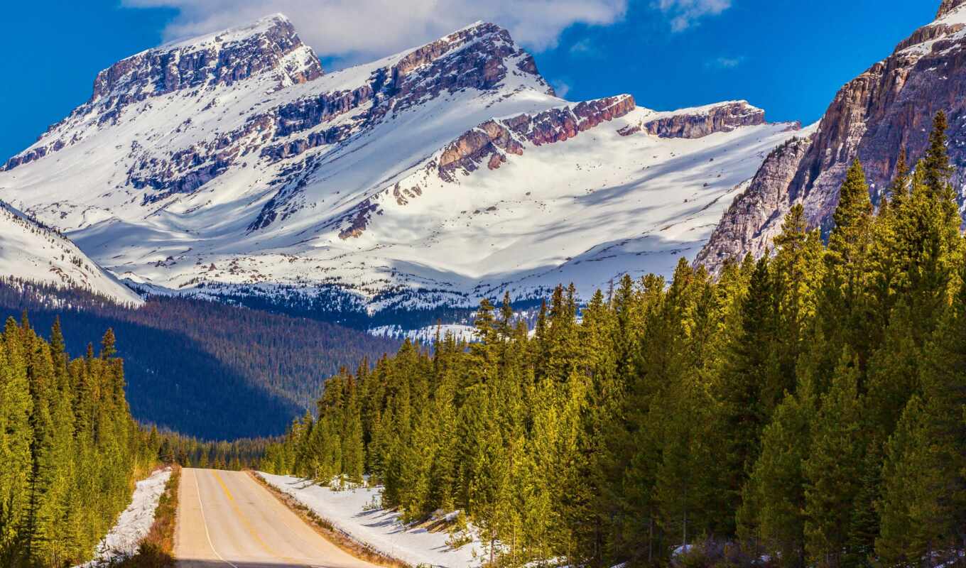 mountain, Canada, alberta, park, national, banff