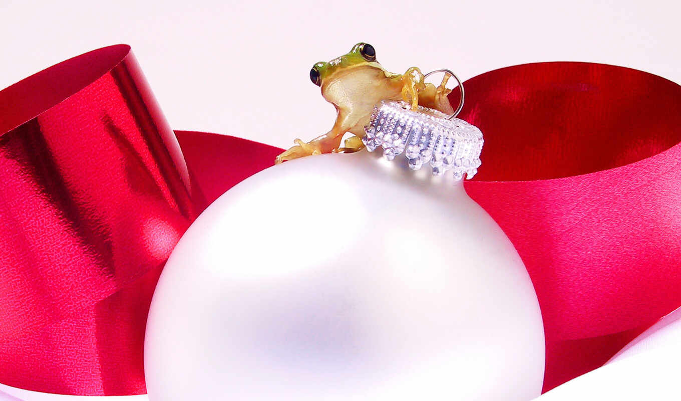 christmas, frog, new year, jewellery, game, frogs