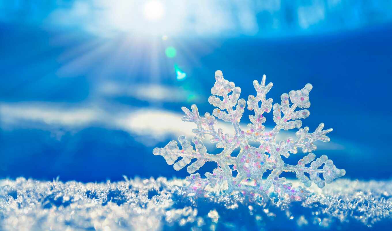 macro, snow, winter, snowflake