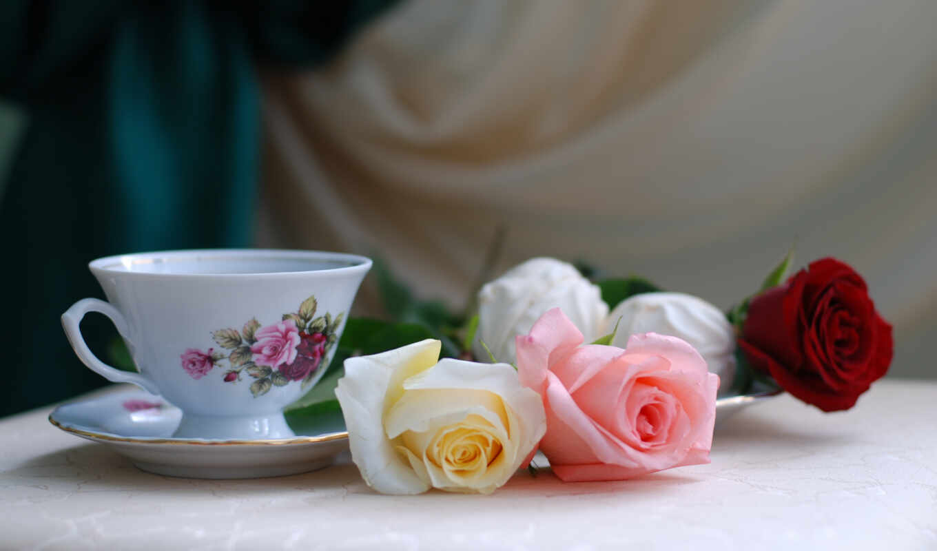 розы, cup, праздник, чая, клубника, ваза, cvety, натюрморт